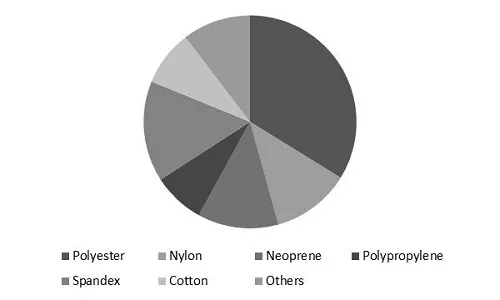 Swimwear Market Share