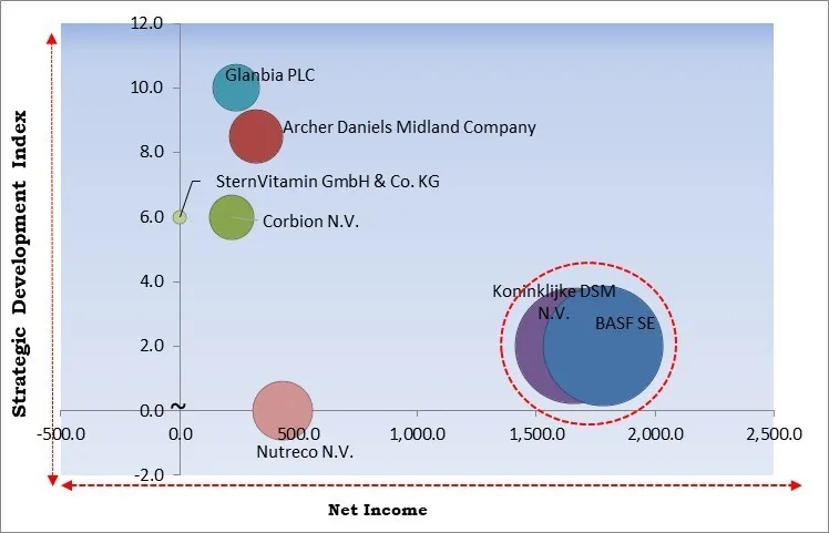 Vitamin & Mineral Premixes Market - Competitive Landscape and Trends by Forecast 2032